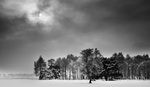Things to Consider When Photographing Snow Landscapes