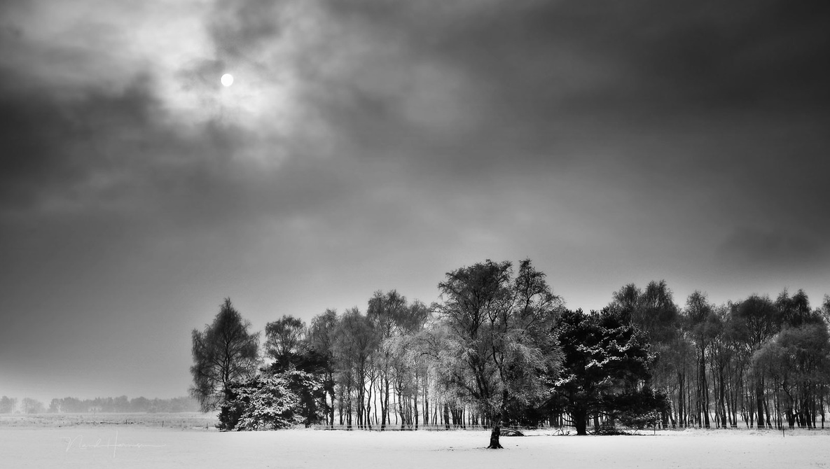 Things to Consider When Photographing Snow Landscapes
