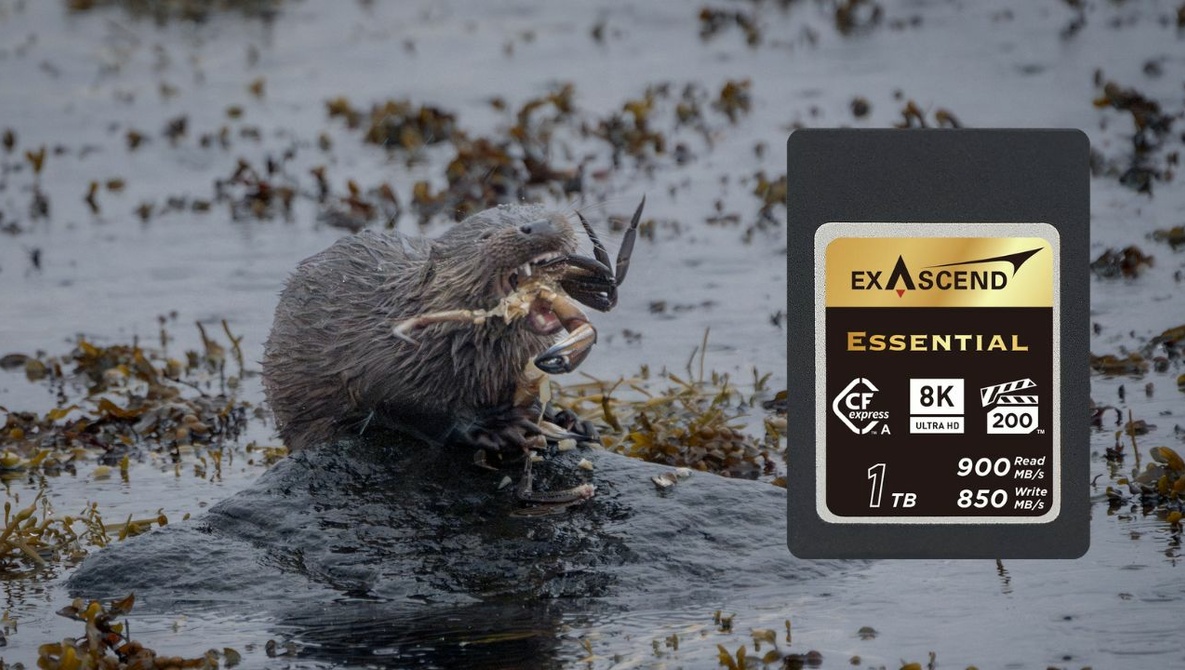 Absolutely Fantastic! We Review the Exascend Essential CFexpress Type A Card